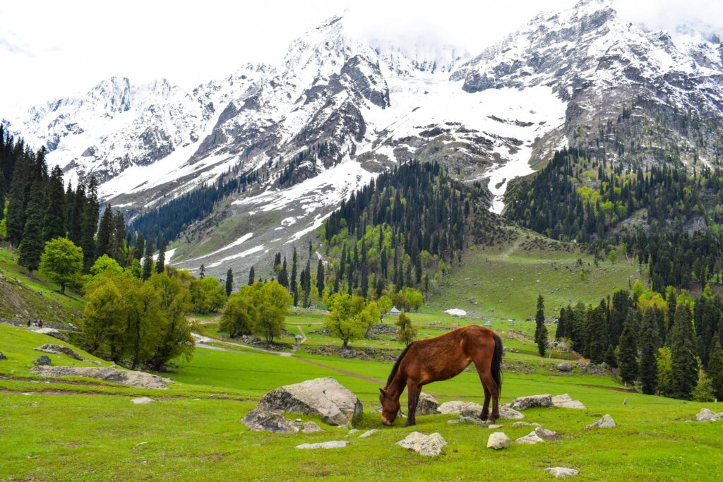 praneet kumar h8dcf v98ma unsplash