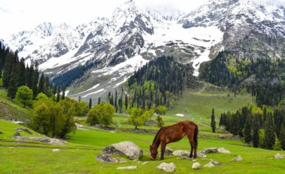 praneet kumar h8dcf v98ma unsplash