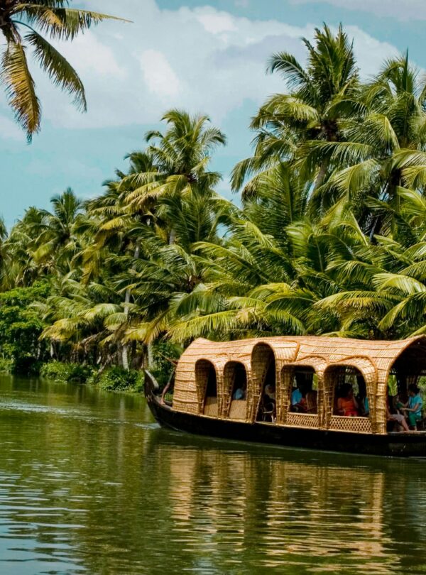 nature photographer 29ezcwtmtnm unsplash