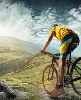 Cycling Tours