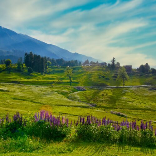 Kashmir Tour Package From Jammu