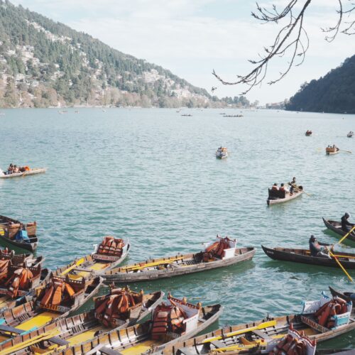 Jim Corbett Nainital Tour